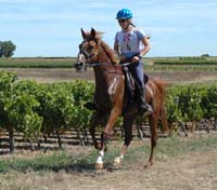 Halika** ( El Djayid* et Abhishah** par Fawzan****) Triple gagnante sur 90km et 5ème 130km Huelgoat CEN** 09, Actuellement poulinière à l'élevage de chevaux d'endurance du Coutillas Cliquez ici 