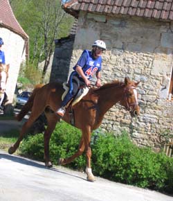 Keroual du breuil****